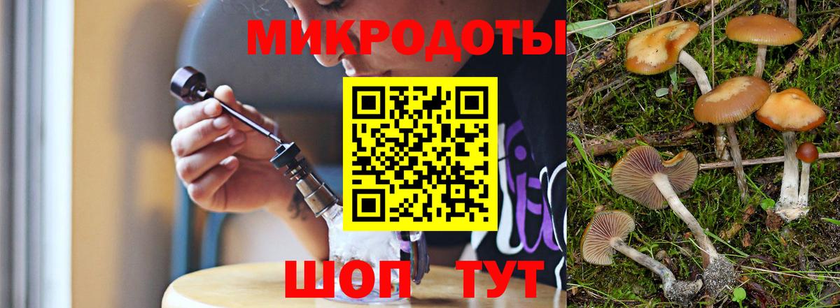 Псилоцибиновые грибы прущие грибы Ярославль