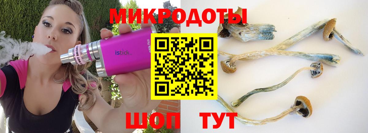 Ярославль  Галлюциногенные грибы Magic Shrooms  Вход с VPN 