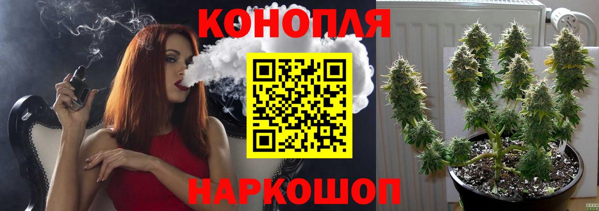 Бошки Шишки семена  Вход с VPN  Бошки Шишки сатива  Ярославль 